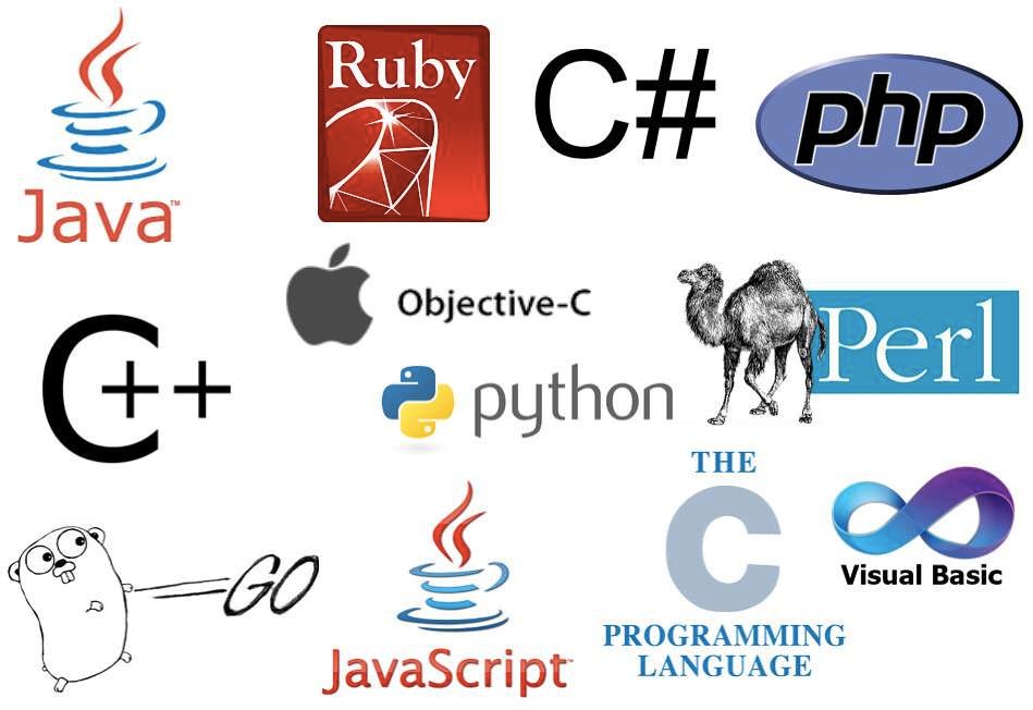 How to choose a Programming Language ?